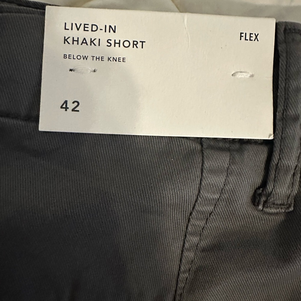 American Eagle Lived in shorts flex